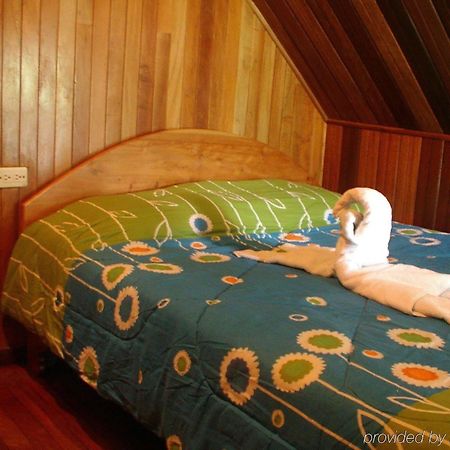 Hostel Monteverde Backpackers Экстерьер фото